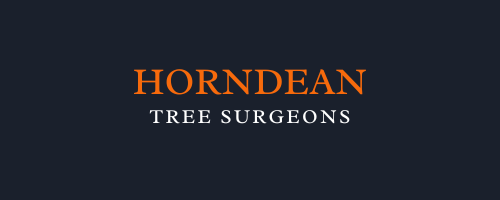 Horndean Tree Surgeons