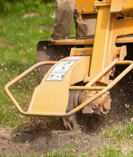 This is a photo of a stump grinder, grinding a tree stump